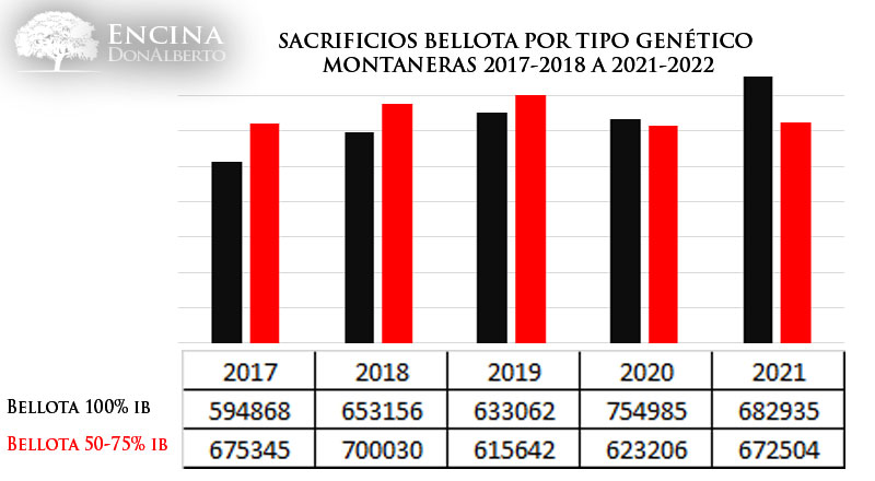 Sacrificios 2017-2022