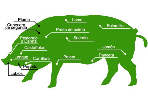 partes del cerdo iberico